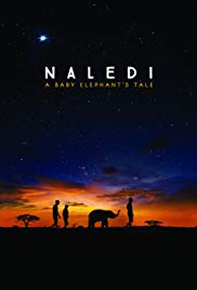 Naledi: A Baby Elephants Tale (2016)