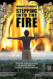 Watch free full Movie Online  Stepping Into the Fire 2011