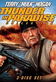 Watch free full Movie Online Thunder in Paradise (1993)