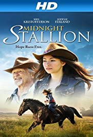 Midnight Stallion (2013)