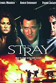 Watch free full Movie Online The Stray (2000)