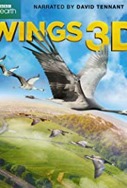 Wings (2014)