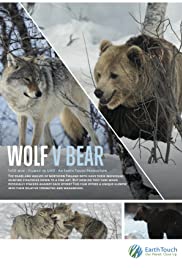 Wolf vs Bear (2018)
