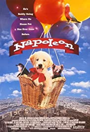 Napoleon (1995)
