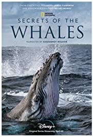 Watch Full Tvshow :Secrets of the Whales (2021)