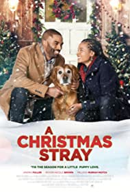 Watch Full Movie : A Christmas Stray (2021)