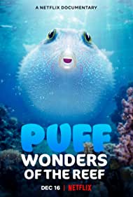 Watch free full Movie Online Puff Wonders of the Reef (2021)
