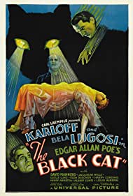 Watch Full Movie :The Black Cat (1934)