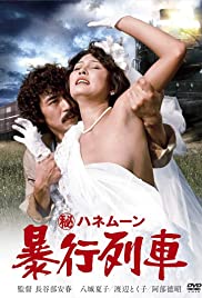 Secret Honeymoon: Rape Train (1977)