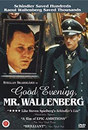 Watch Full Movie :Good Evening, Mr. Wallenberg (1990)