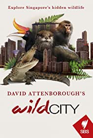 Watch free full Movie Online David Attenboroughs Wild City (2016)