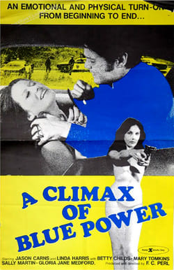 A Climax of Blue Power (1974)