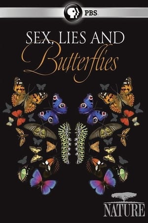 Watch free full Movie Online Sex, Lies and Butterflies (2018)