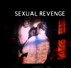 Watch Full Movie :Sexual Revenge (2004)