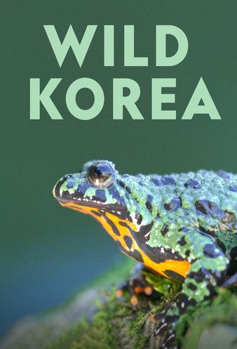 Wild Korea 2022