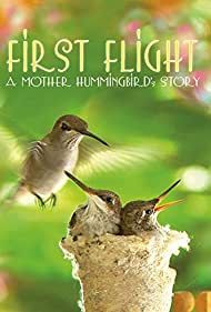 Watch Full Movie :First Flight A Mother Hummingbirds Story (2009)