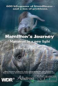 Hamiltons Journey Manatees in a New Light (2014)