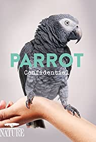 Parrot Confidential (2013)