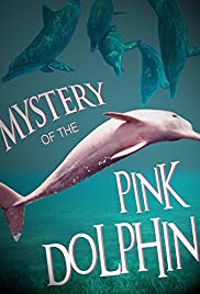 The Mystery of the Pink Dolphin (2015)