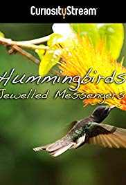 Hummingbirds Jewelled Messengers (2012)