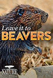 Leave It to Beavers (2014)