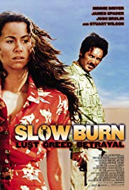Watch Full Movie :Slow Burn (2000)