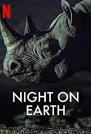 Night on Earth (2020 )