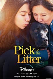 Watch free full Movie Online Pick of the Litter (2018)